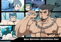 Nekomaru Nidai