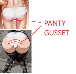 The Gusset Is The Part Of Panties That Covers The Anus