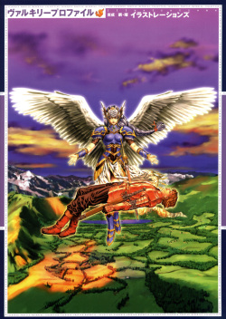 Valkyrie Profile Settings Data Collection_20241021