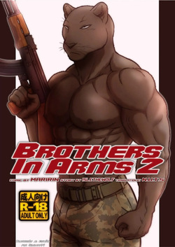 Brothes in Arms 2