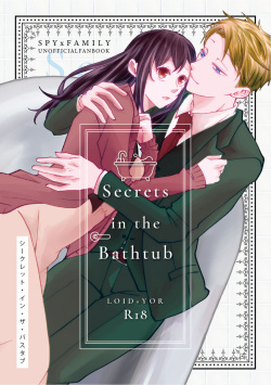 Secrets in the Bathtub