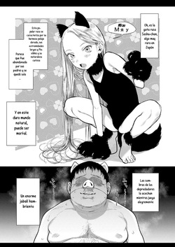 C97 Copy-bon