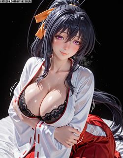 Himejima Akeno - High School DxD  WISH ZONE AI