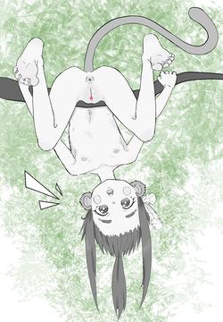 Kin Kodokan